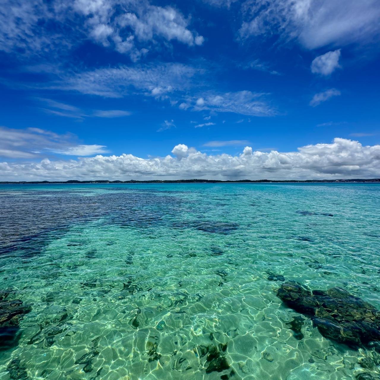 IMG-20261020-WA0229